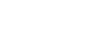 Partner Platform logo